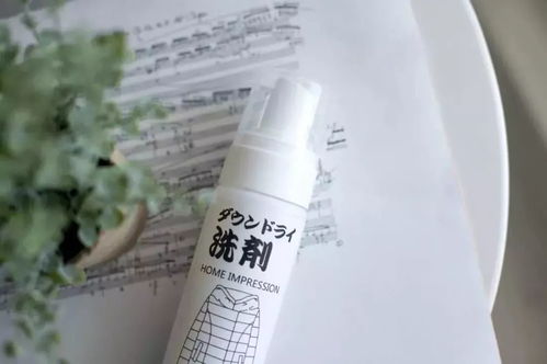 日本羽絨服干洗劑 輕松一噴，污漬瞬間消失，干洗新革命
